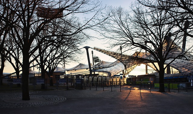 了北京国安 了北京国安