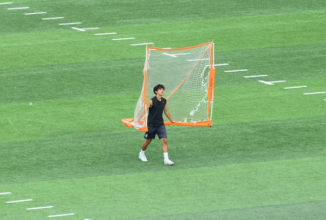 国内的影响 国内的影响